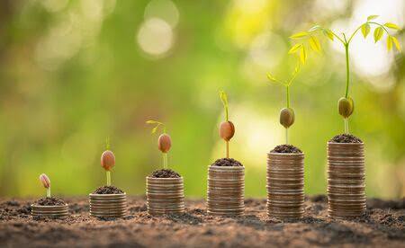 <strong>Investment</strong>